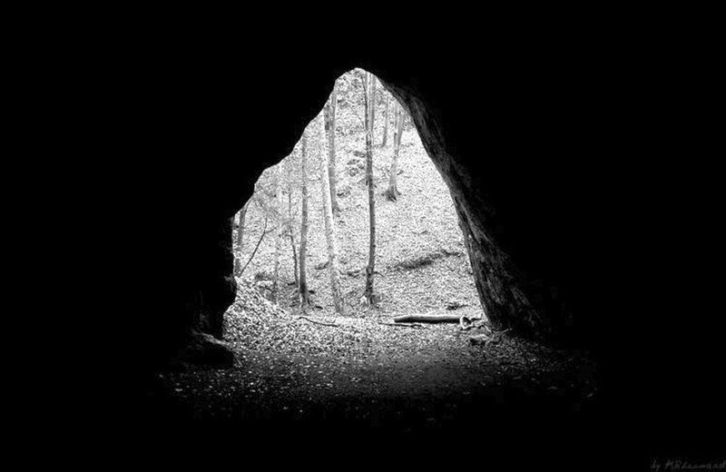 Forest View from Cave