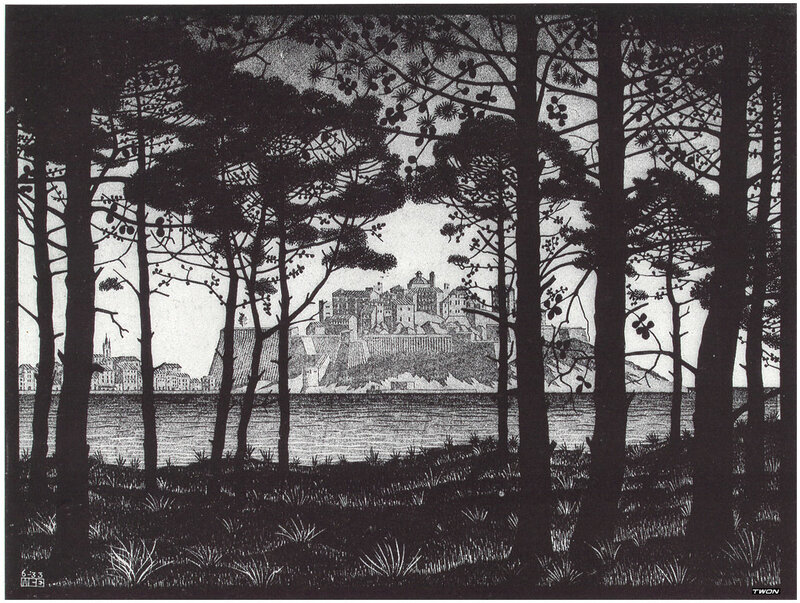 Forest View of a Coastal Town