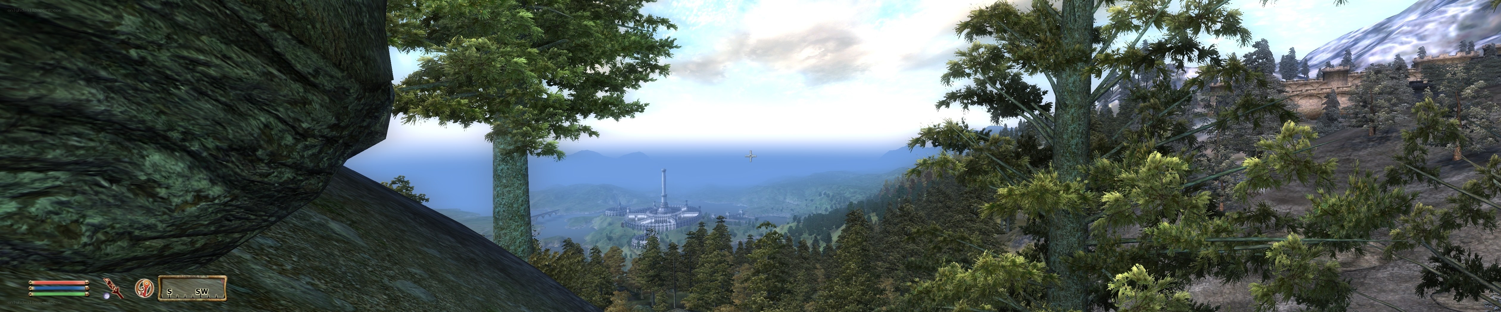 forest view of a distant city