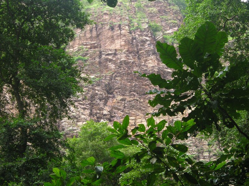 Forest view of a rocky cliff