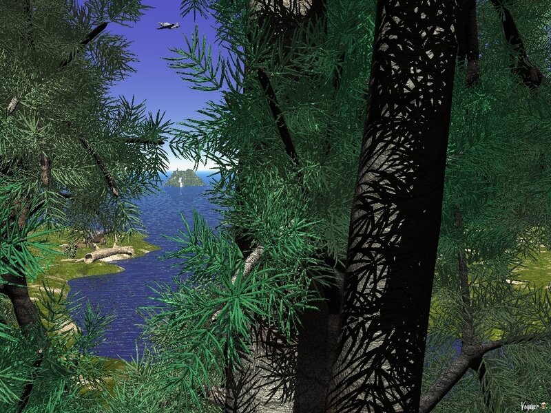 Forest view of island and ocean