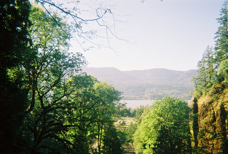 Forest view of lake and mountains