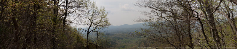 Forest View of Mountains