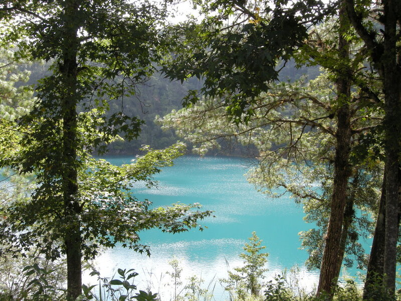 Forest view of turquoise lake