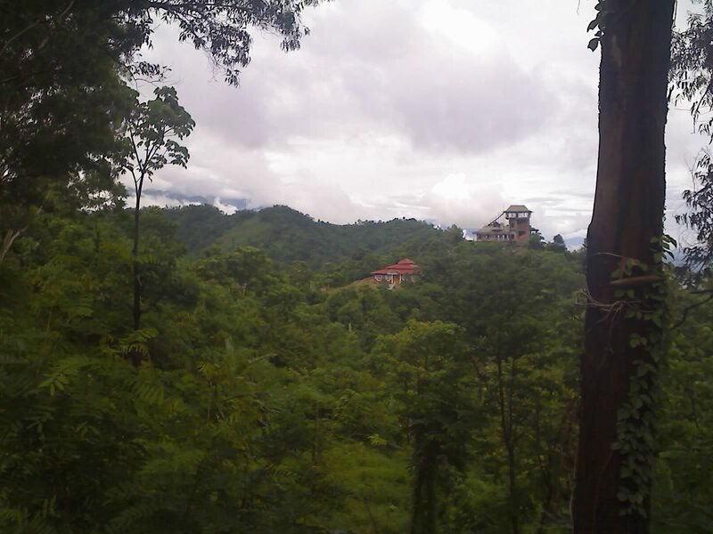 Forest view with hilltop buildings