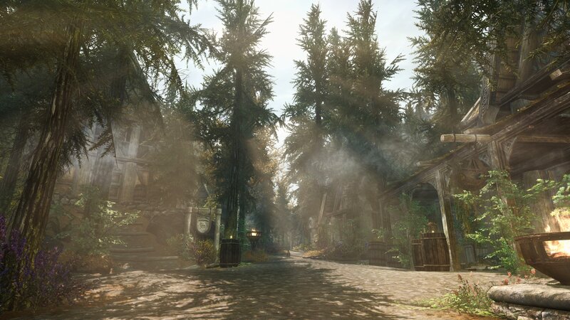 Forest Village Path