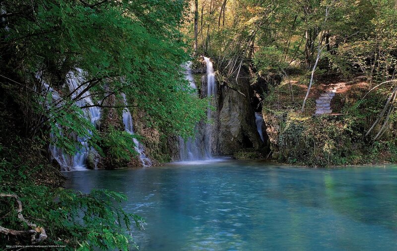 Forest waterfall and pool