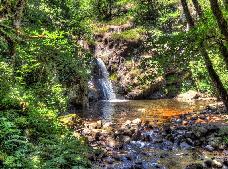 Forest waterfall and pool