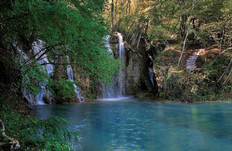 Forest waterfall and pool