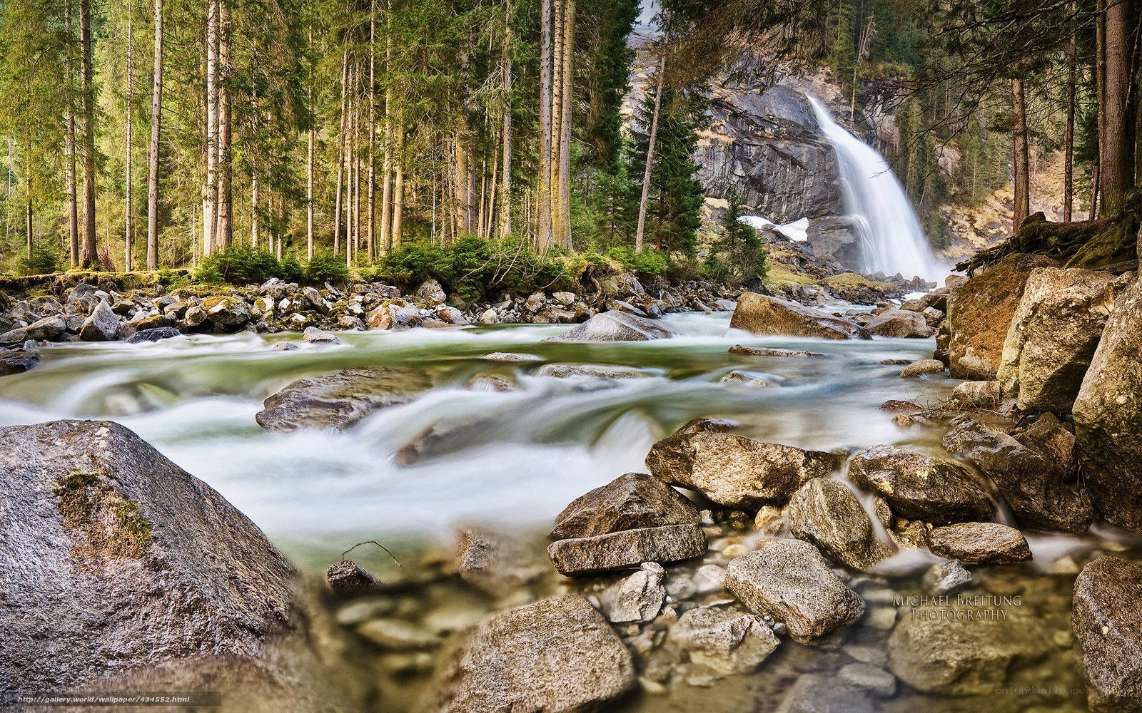 Forest waterfall and stream