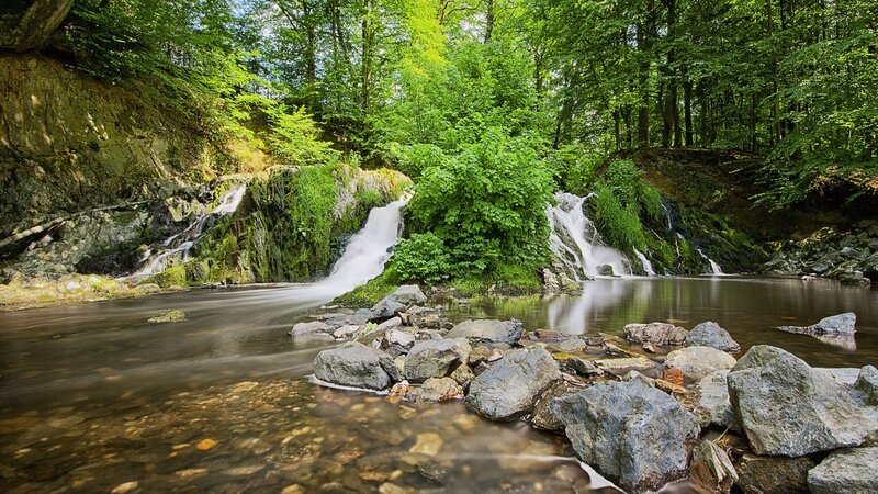 Forest waterfall and stream