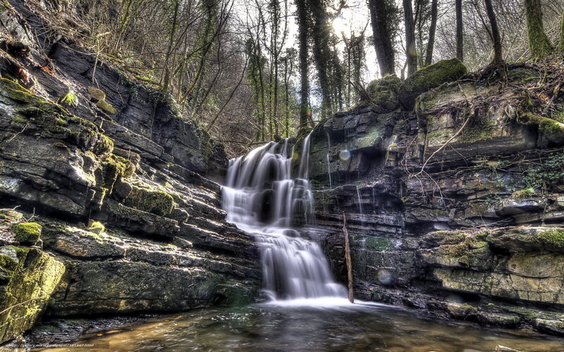 Forest waterfall cascade