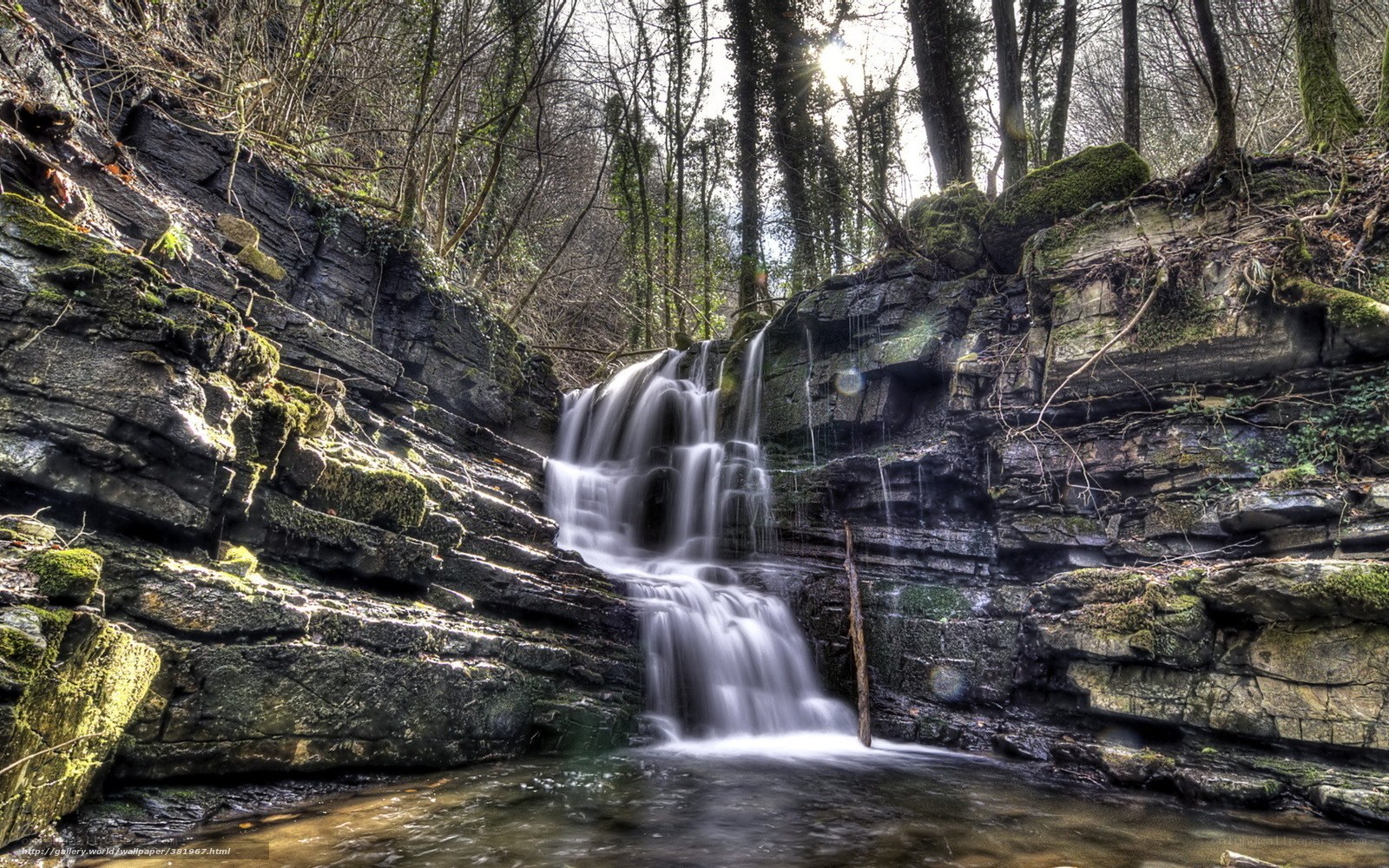Forest waterfall cascade