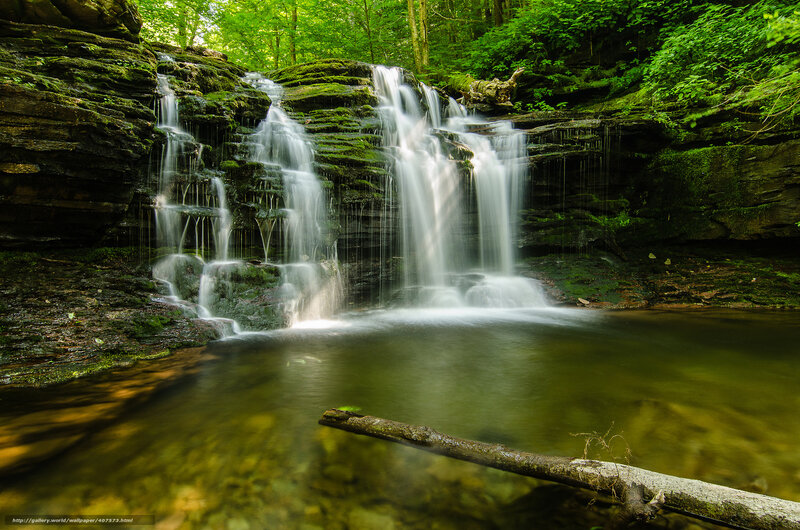 Forest waterfall cascade