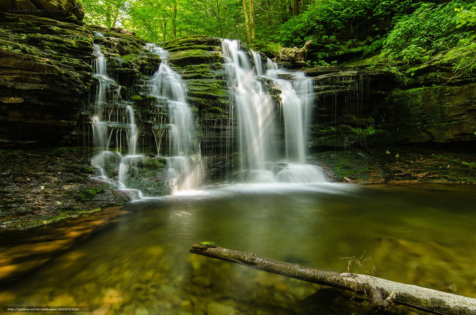 Forest waterfall cascade