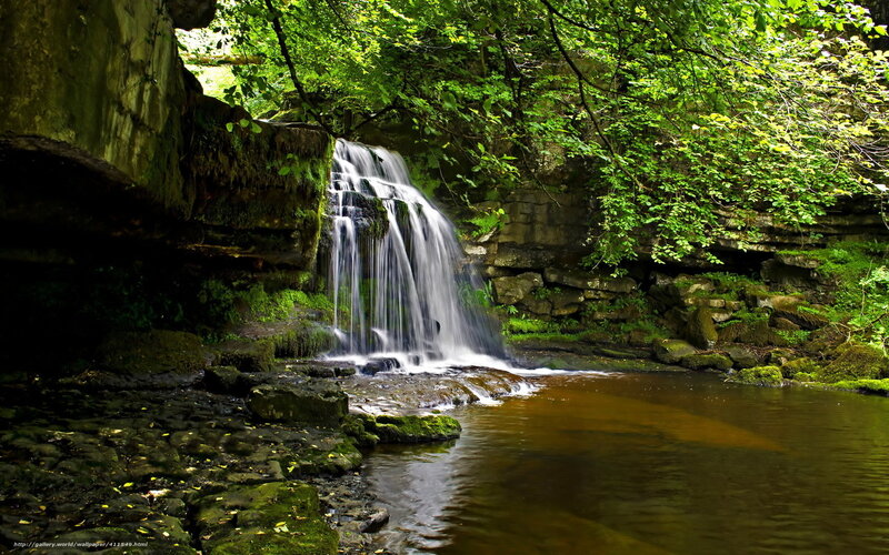 Forest waterfall cascade
