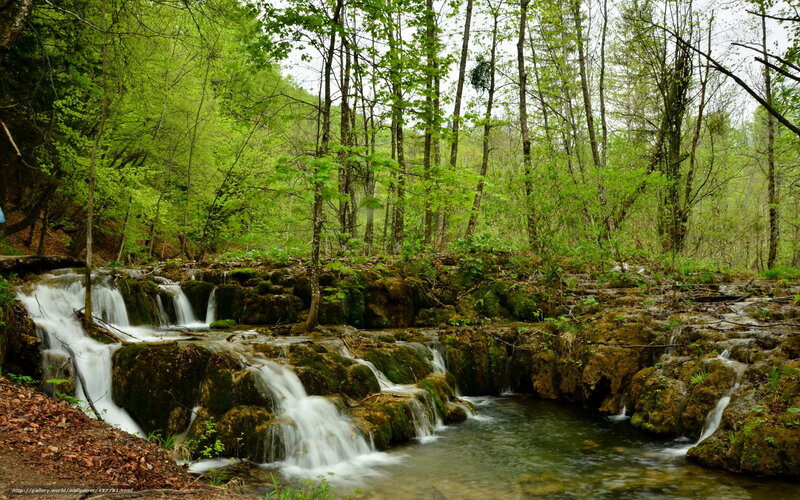 Forest waterfall cascade