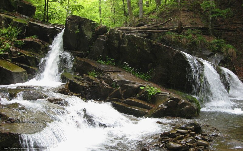 Forest waterfall cascade
