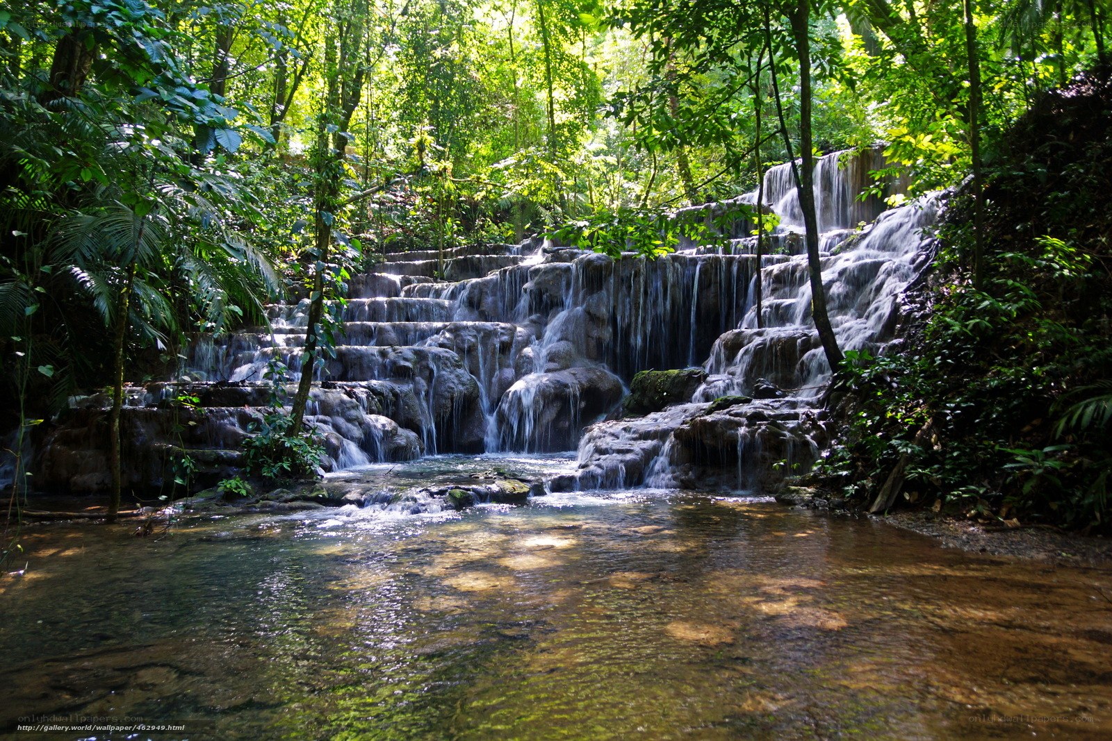 Forest waterfall cascade