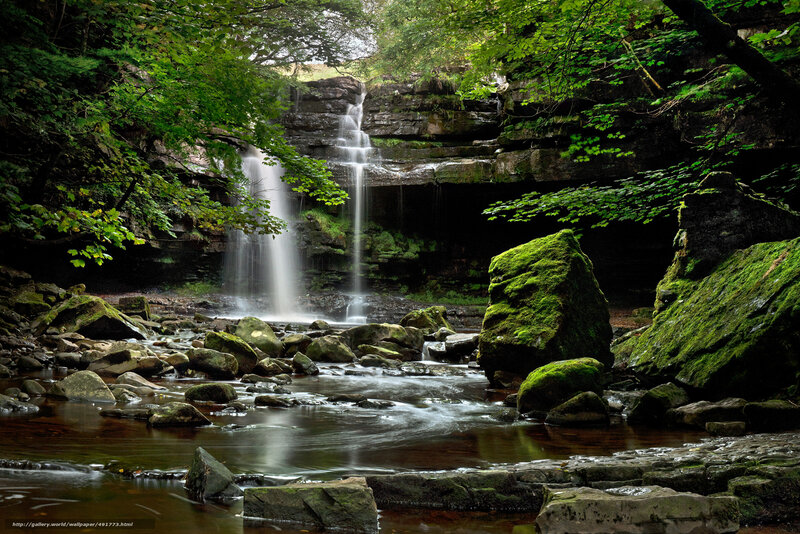 Forest waterfall cascade