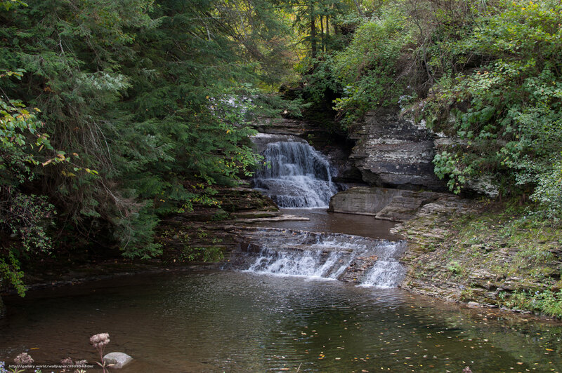 Forest waterfall cascade