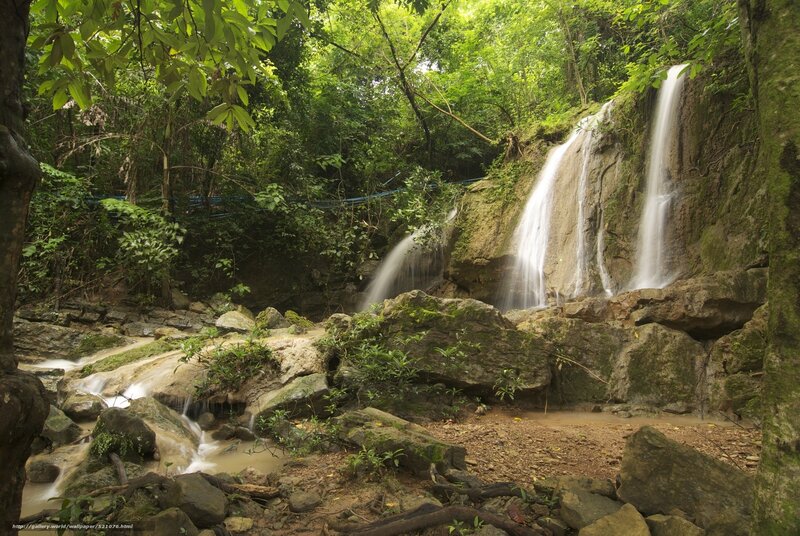 Forest waterfall cascade