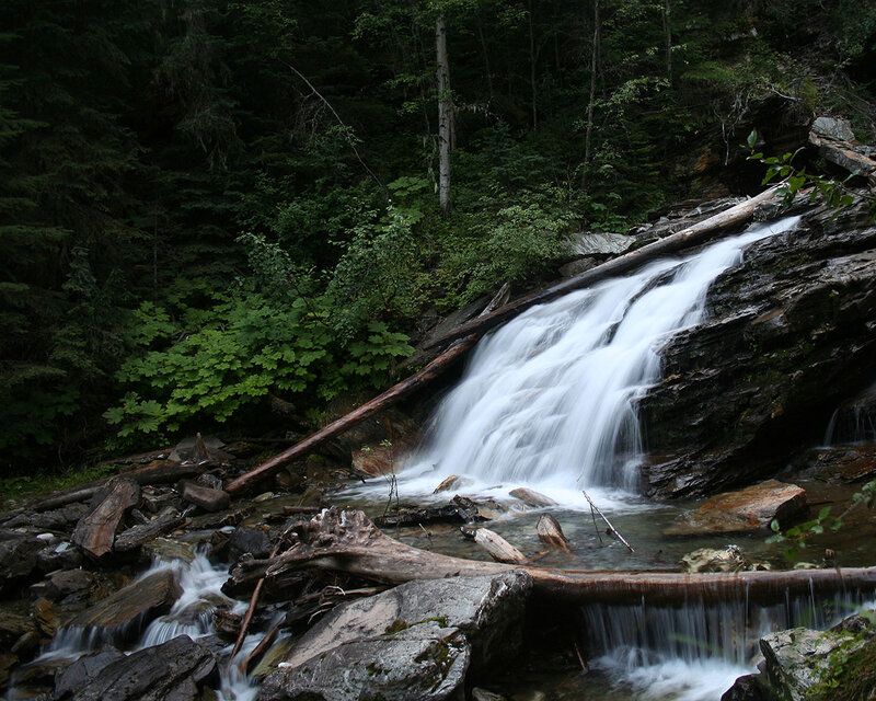 Forest waterfall cascade