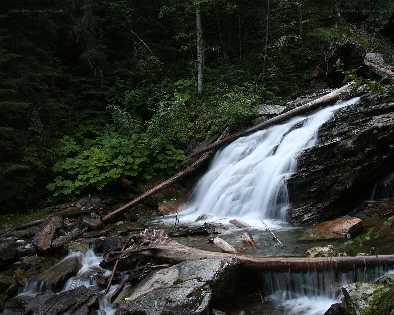 Forest waterfall cascade