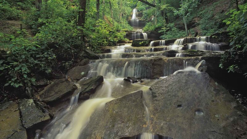 Forest waterfall cascade