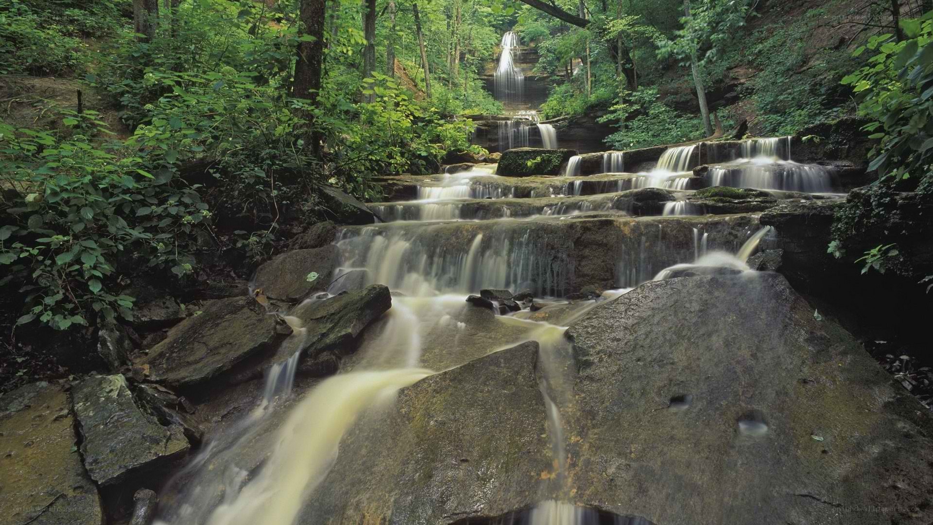 Forest waterfall cascade