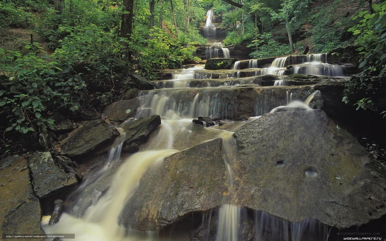 Forest waterfall cascade