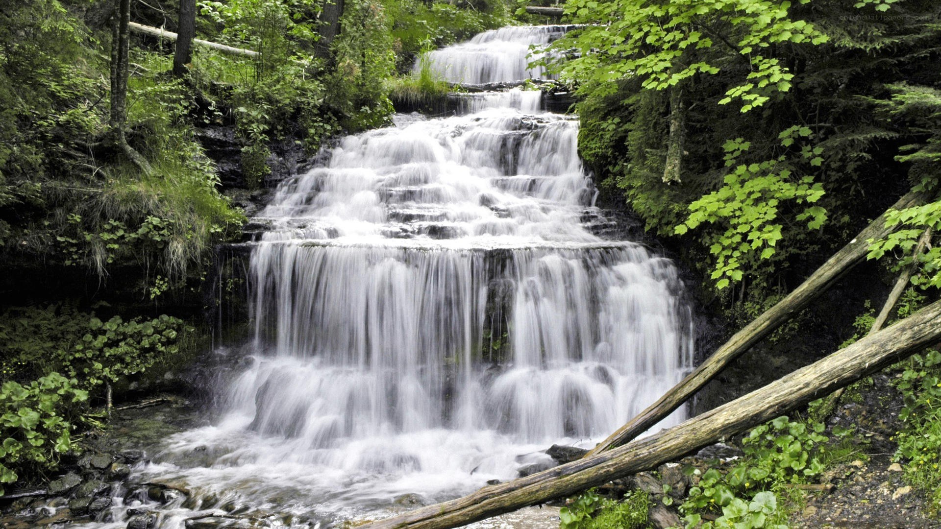 Forest waterfall cascade