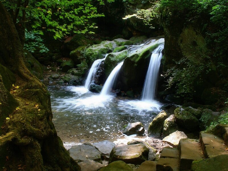 Forest waterfall cascade