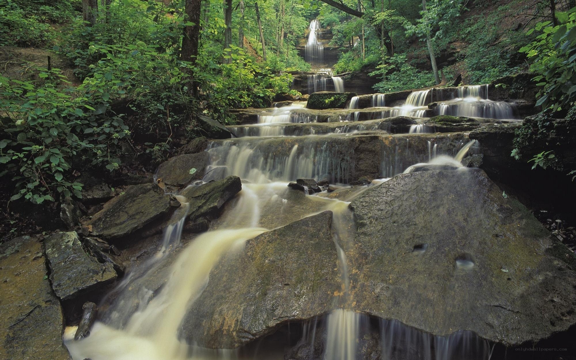 Forest waterfall cascade