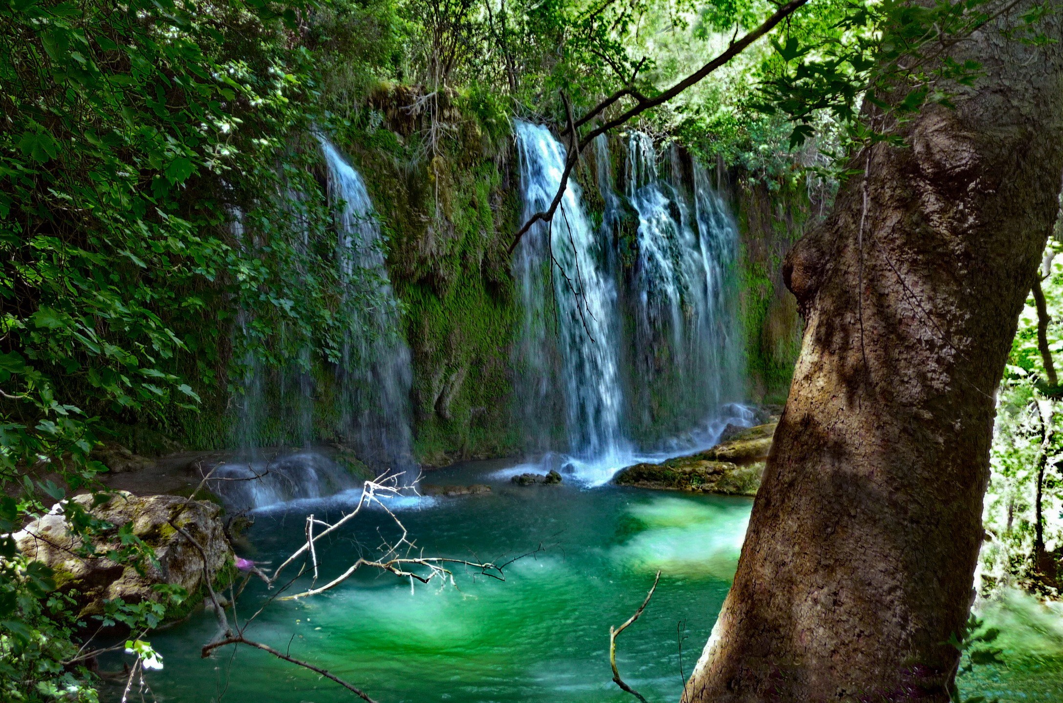 Forest waterfall cascade