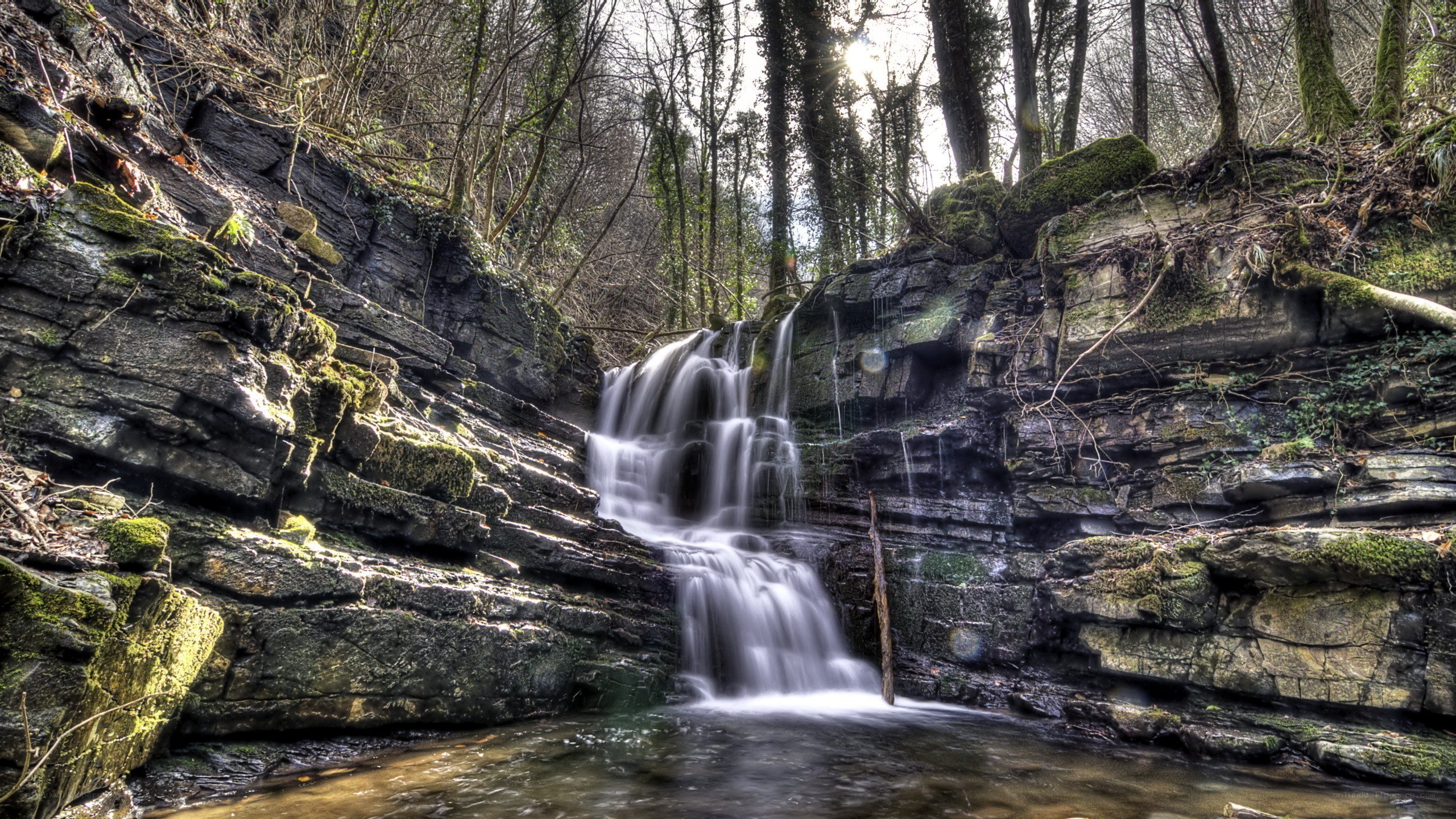 Forest waterfall cascade