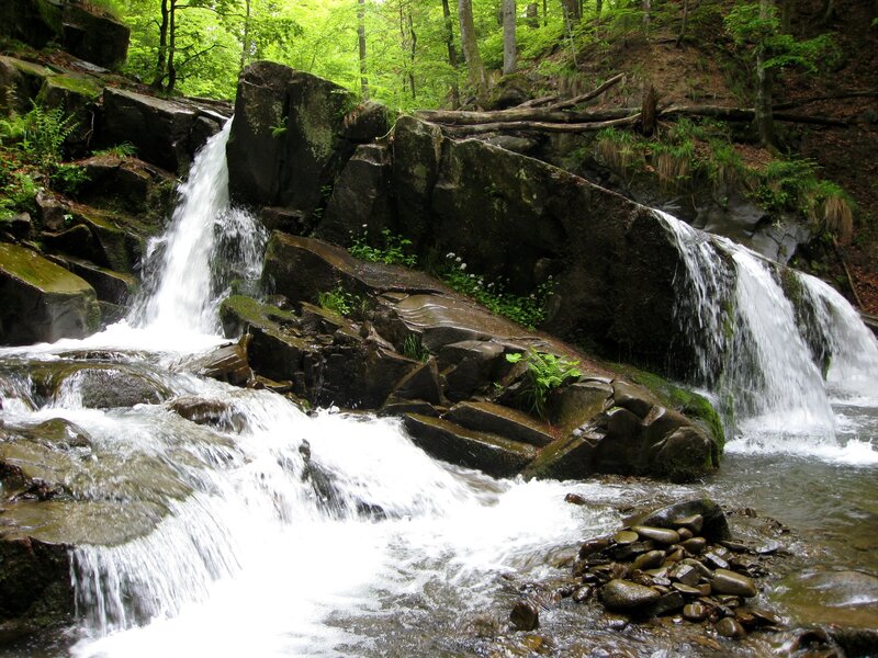 Forest waterfall cascade