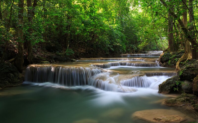 Forest waterfall cascade