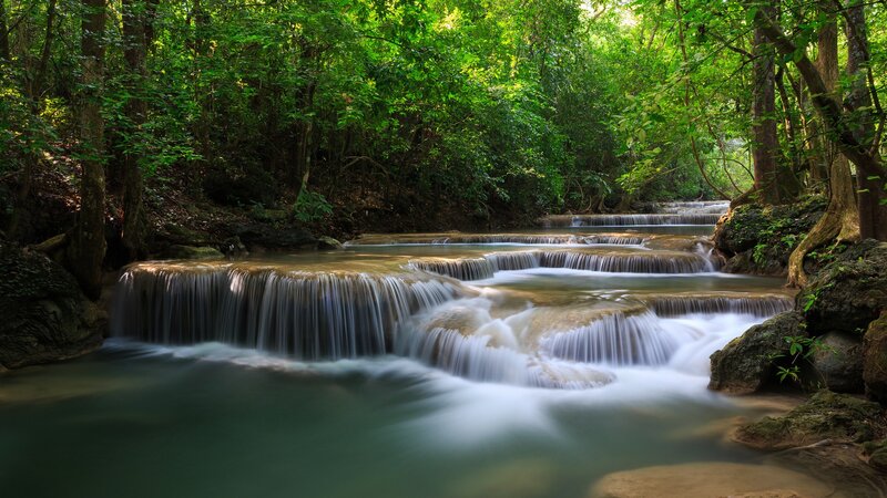 Forest waterfall cascade