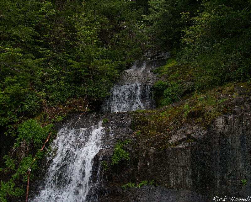 Forest waterfall cascade
