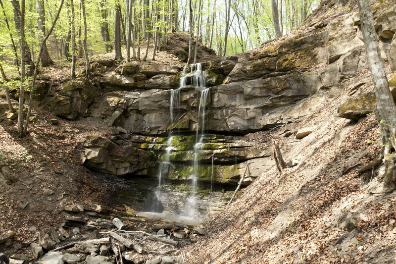 Forest waterfall cascading over rocks