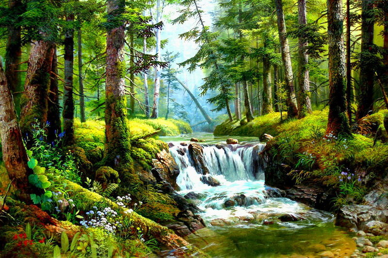 Forest Waterfall — Green, Serene