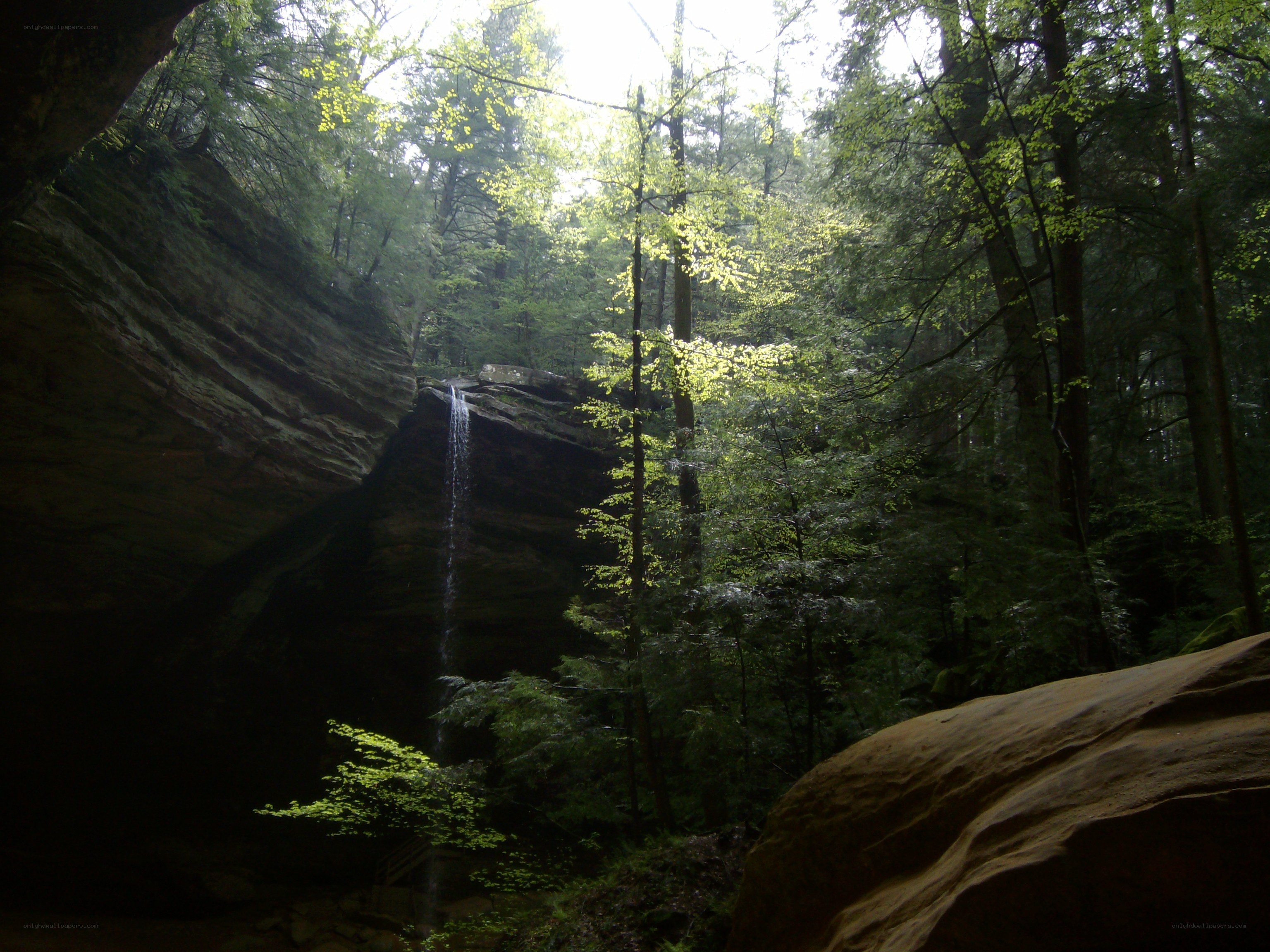 Forest waterfall in a canyon