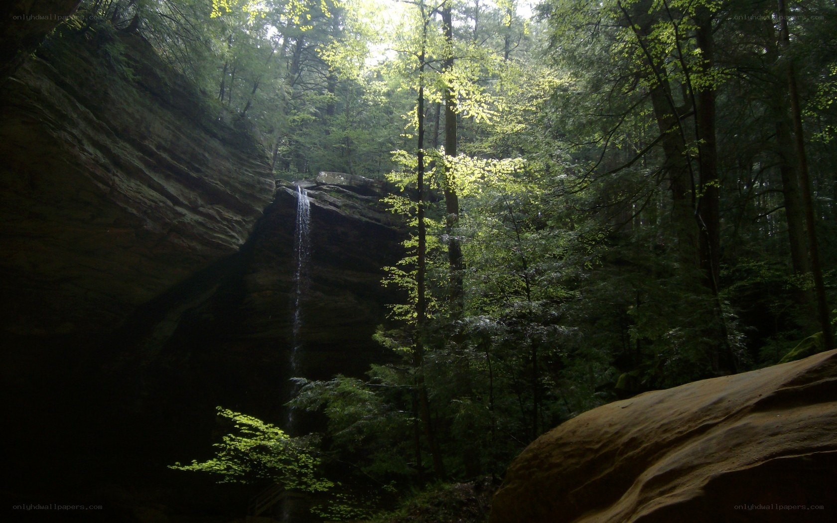 Forest waterfall in a canyon