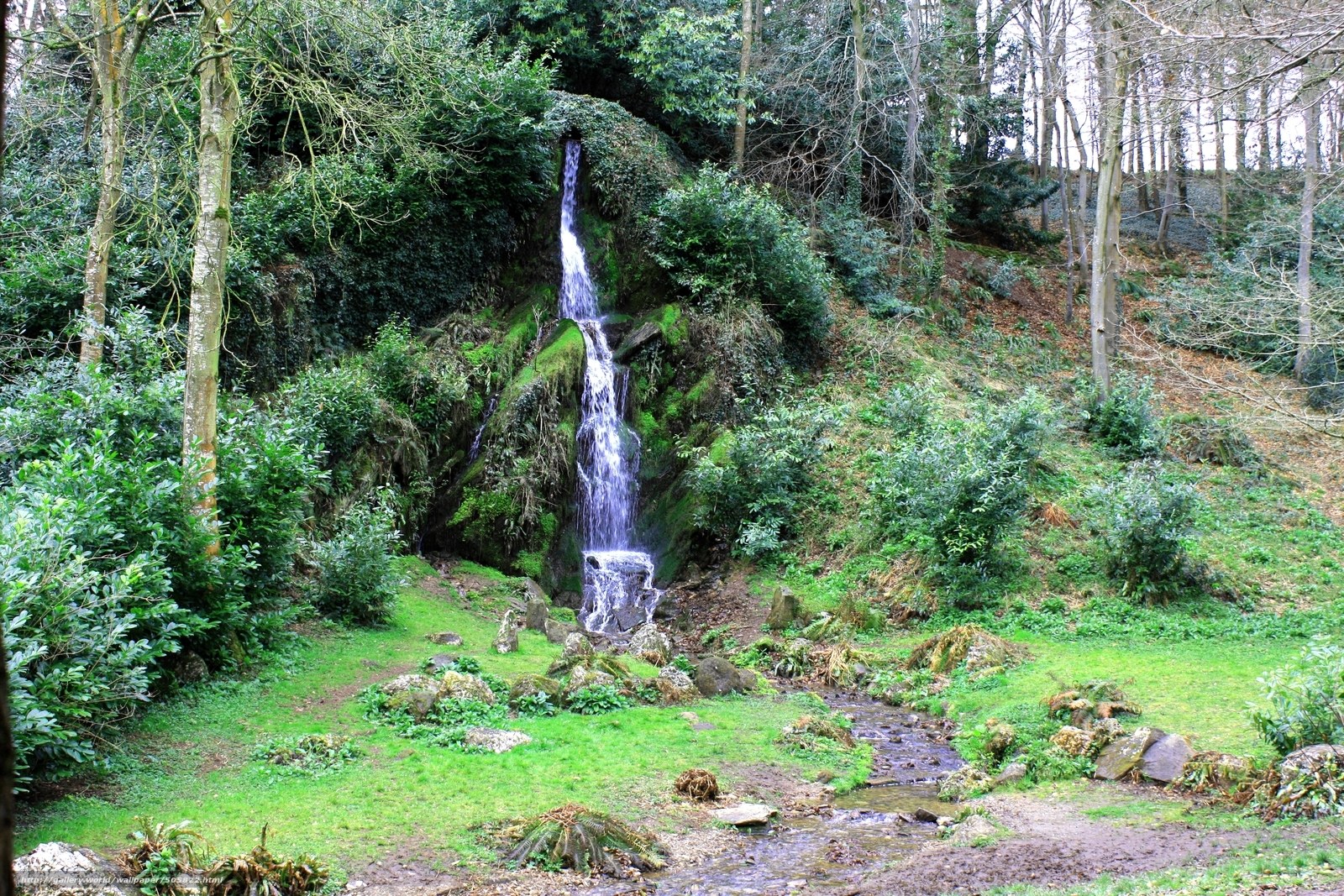 Forest waterfall in a green landscape