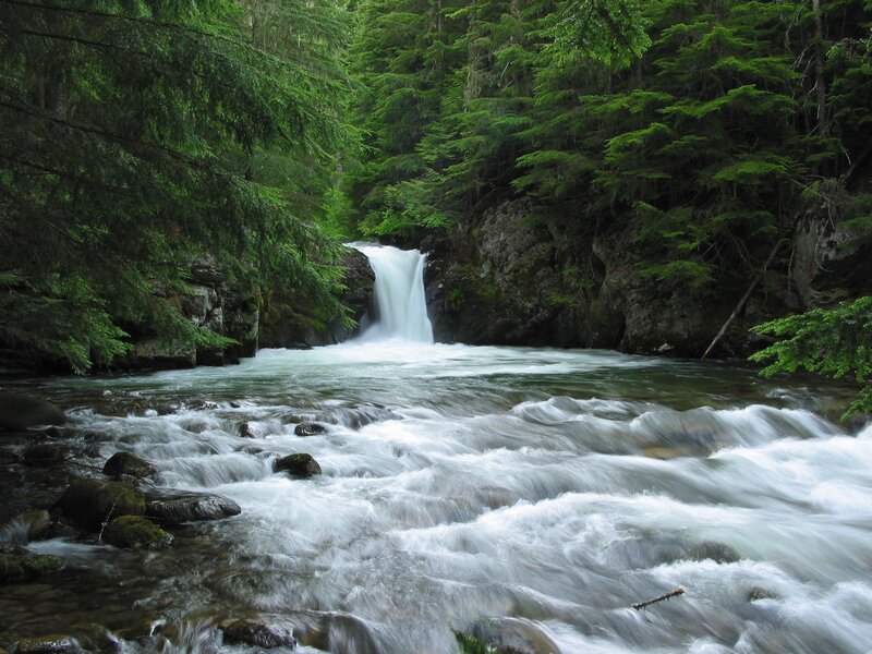 Forest waterfall in a river