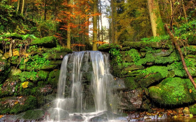 Forest waterfall in autumn