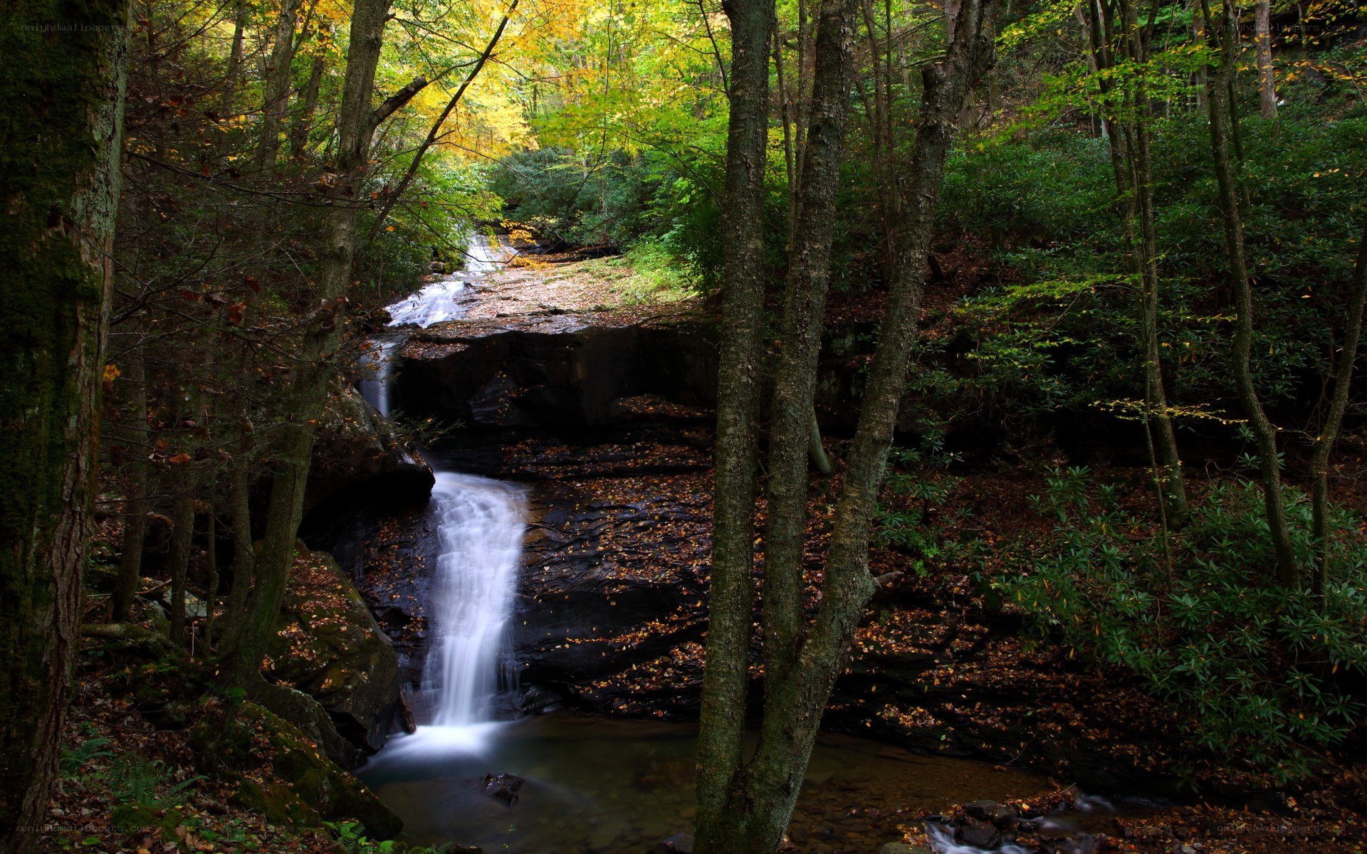 Forest waterfall in autumn