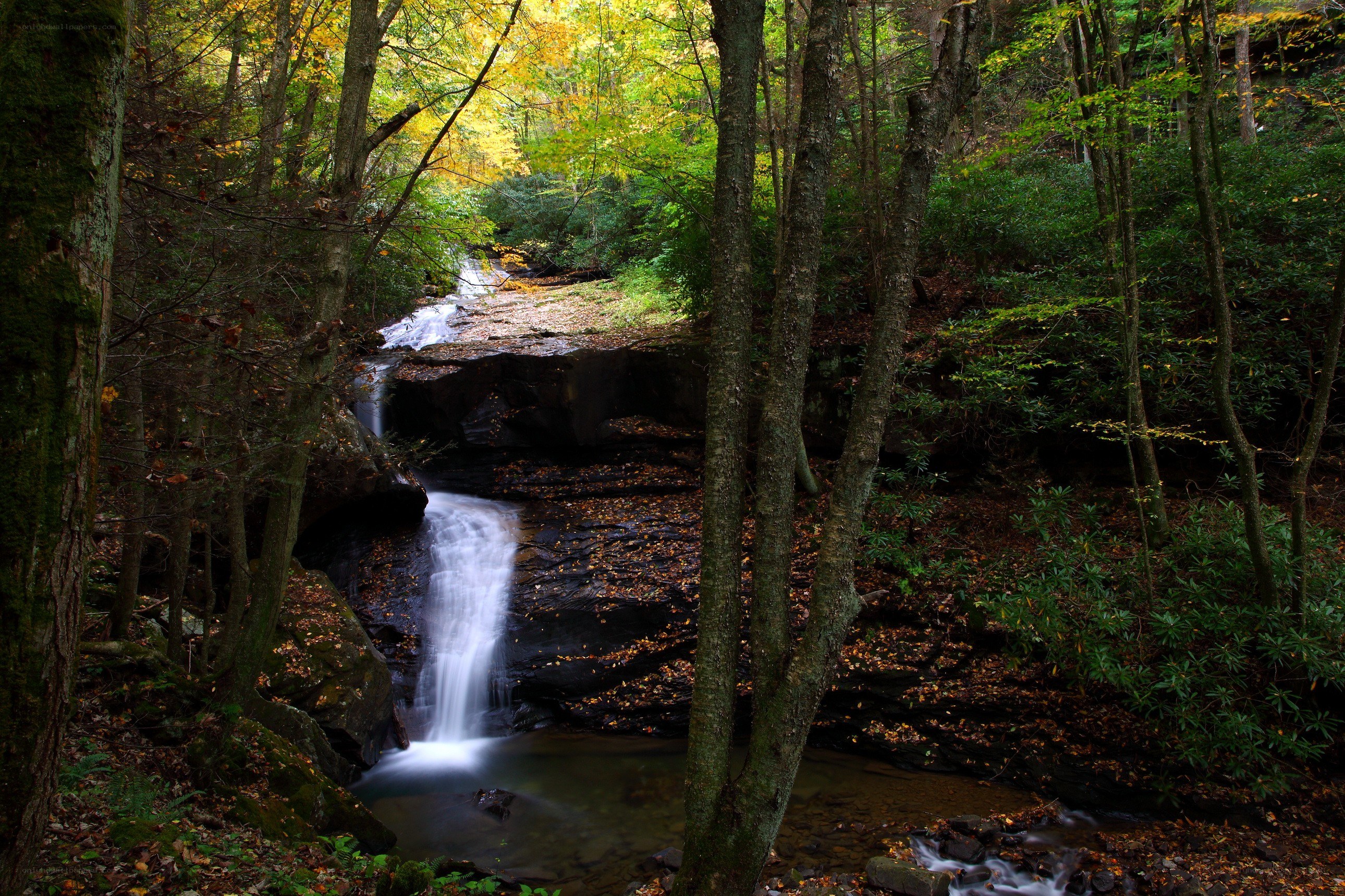 Forest waterfall in autumn