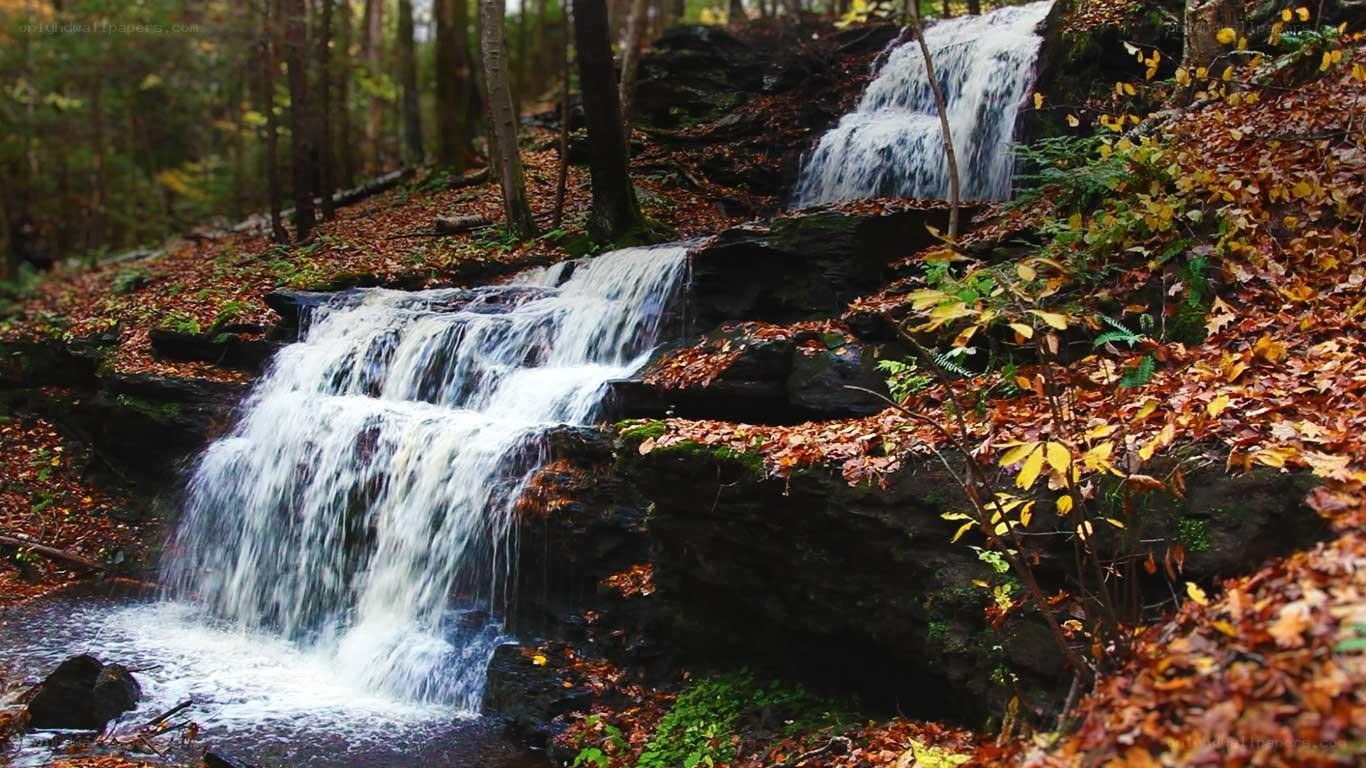 Forest waterfall in autumn